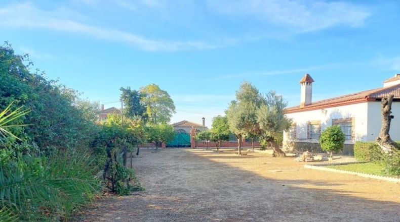 Sevilla - La Rinconada - 2588m2