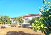 Chalet independiente con terreno en venta en la España, La Rinconada, ref: TR400792 foto