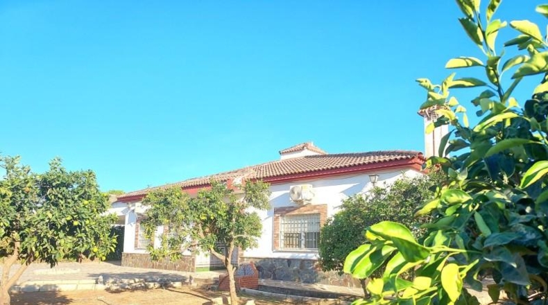 Sevilla - La Rinconada - 2588m2