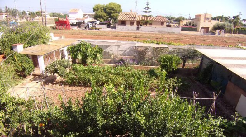 Castellon - Benicarló - 1026m2