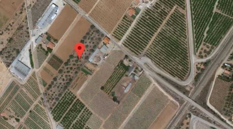 Castellon - Benicarló - 7842m2