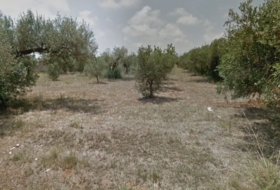 Benicarló 7842&nbsp;м²