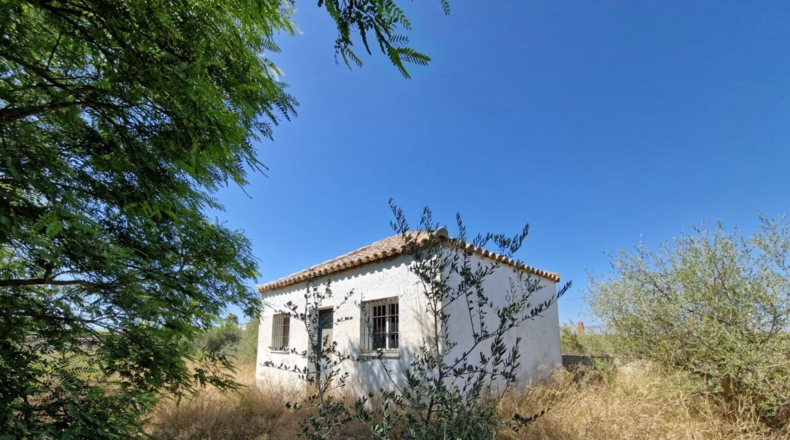 Cádiz - El Puerto de Santa María - 500m2