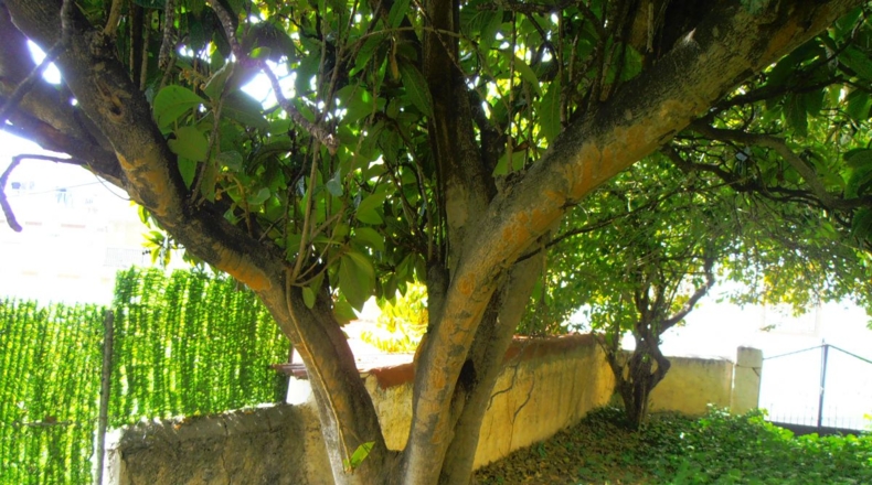 Granada - Órgiva - 1390m2