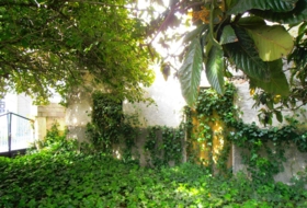 Órgiva 1390&nbsp;m²