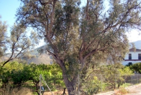 Pinos del Valle 276&nbsp;м²