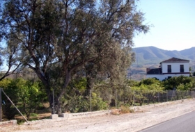 Pinos del Valle 276&nbsp;м²