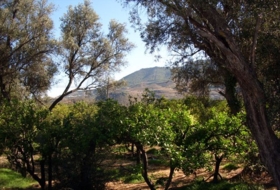 Pinos del Valle 276&nbsp;м²