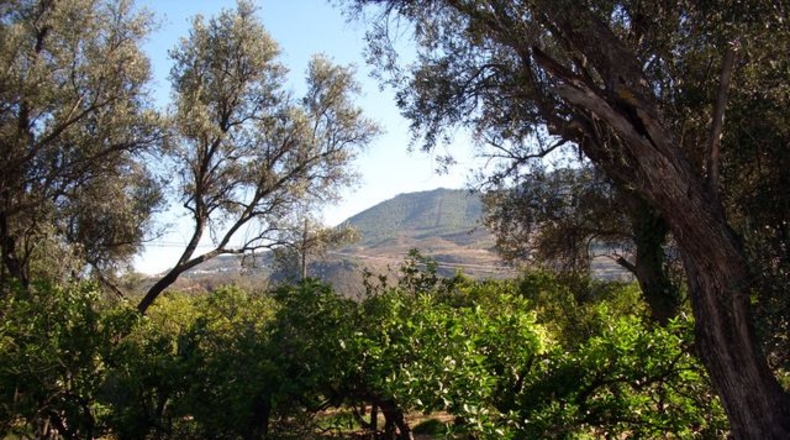 Granada - Melegís - 276m2