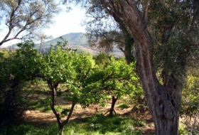 Pinos del Valle 276&nbsp;м²