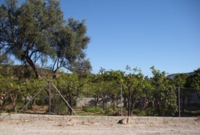 Pinos del Valle 276&nbsp;м²