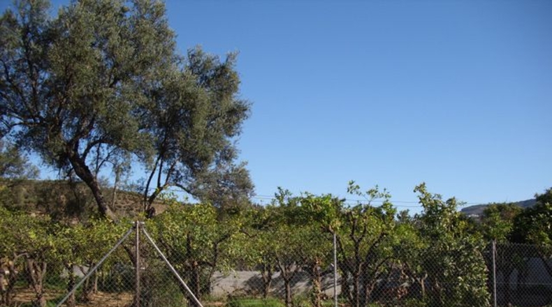 Granada - Melegís - 276m2