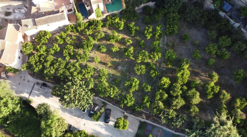 Granada - Saleres - 650m2