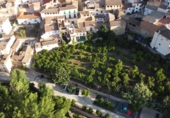 Terreny no urbanitzable en venda a la España, Pinos del Valle, ref.: TR394253 foto