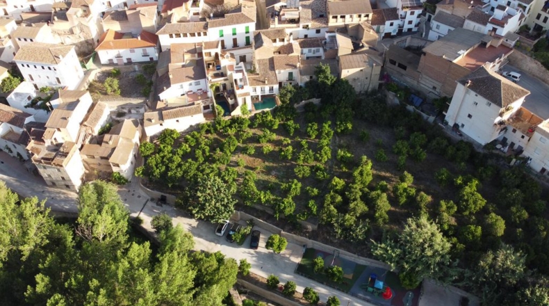 Granada - Saleres - 650m2