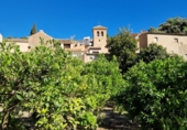 Terreny no urbanitzable en venda a la España, Pinos del Valle, ref.: TR394253 foto