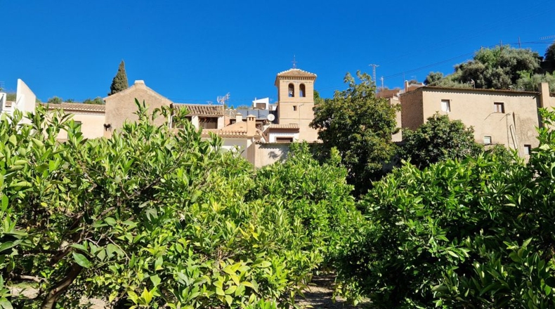 Granada - Saleres - 650m2