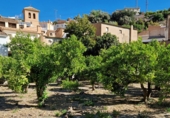 Terreny no urbanitzable en venda a la España, Pinos del Valle, ref.: TR394253 foto