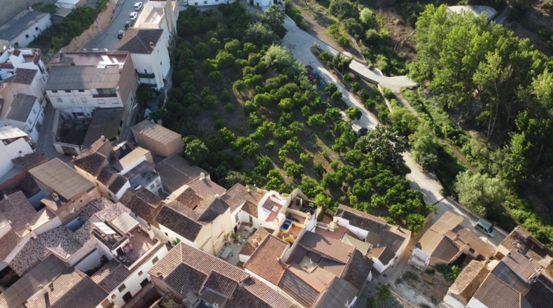 Granada - Saleres - 650m2