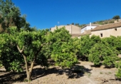Terreny no urbanitzable en venda a la España, Pinos del Valle, ref.: TR394253 foto