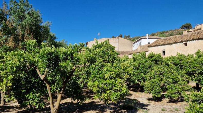 Granada - Saleres - 650m2