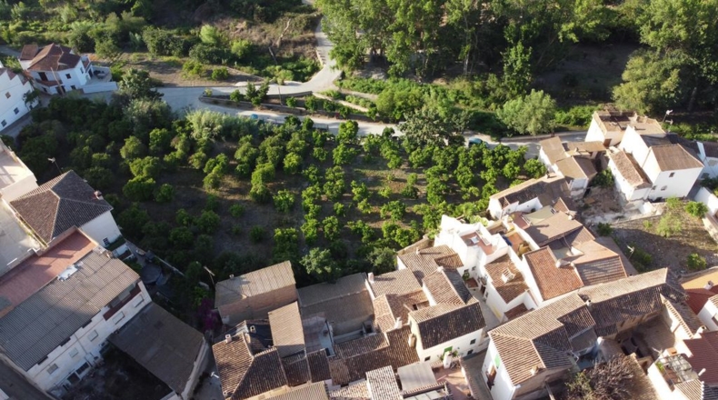 Granada - Saleres - 650m2
