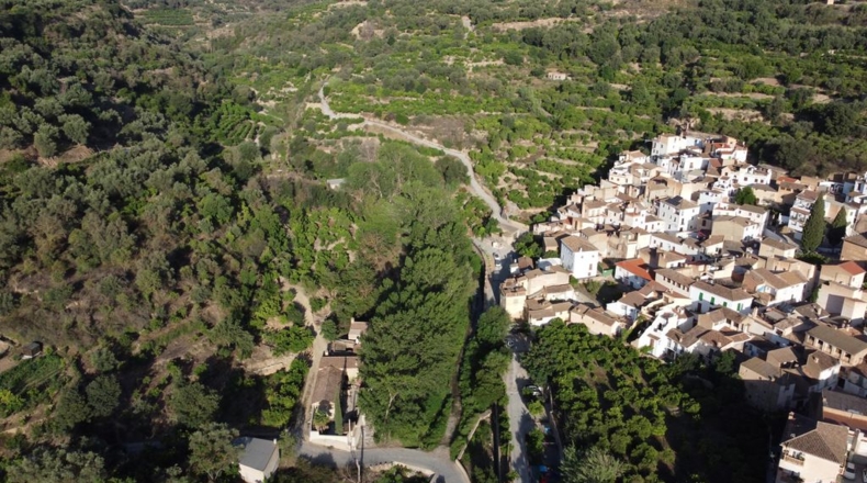 Granada - Saleres - 650m2