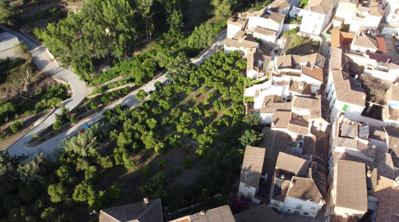 Granada - Saleres - 650m2