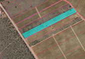 Non-developable land for sale on VA-101, Pesquera de Duero, ref: TR394249 photo