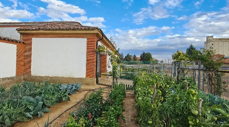 Palencia - Osorno la Mayor - 200m2