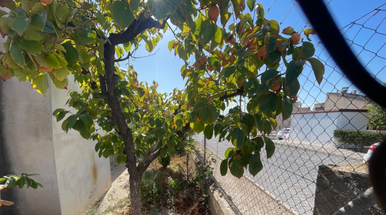 Murcia - Blanca - 97m2