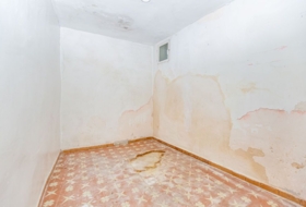 Cieza 59&nbsp;м²