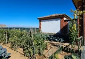 Finca rústica en venda a la Calle Angel de Torres y Ossorio, Osorno la Mayor, ref.: TR394264 foto