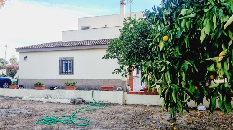 Cádiz - Chiclana de la Frontera - 1114m2