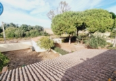 Xalet independent amb terreny en venda a Chiclana de la Frontera ref.: TR394256 foto