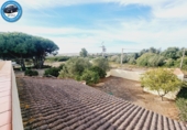 Xalet independent amb terreny en venda a Chiclana de la Frontera ref.: TR394256 foto
