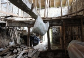 Finca rústica en venda a la España, Pola de Lena, ref.: TR394607 foto