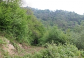 Finca rústica en venda a la España, Pola de Lena, ref.: TR394607 foto