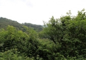 Finca rústica en venda a la España, Pola de Lena, ref.: TR394607 foto