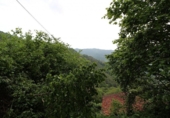 Finca rústica en venda a la España, Pola de Lena, ref.: TR394607 foto