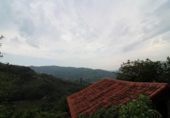 Finca rústica en venda a la España, Pola de Lena, ref.: TR394607 foto