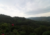 Finca rústica en venda a la España, Pola de Lena, ref.: TR394607 foto