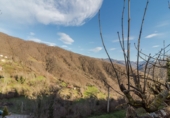 Finca rústica en venda a la España, Muriellos, ref.: TR394604 foto