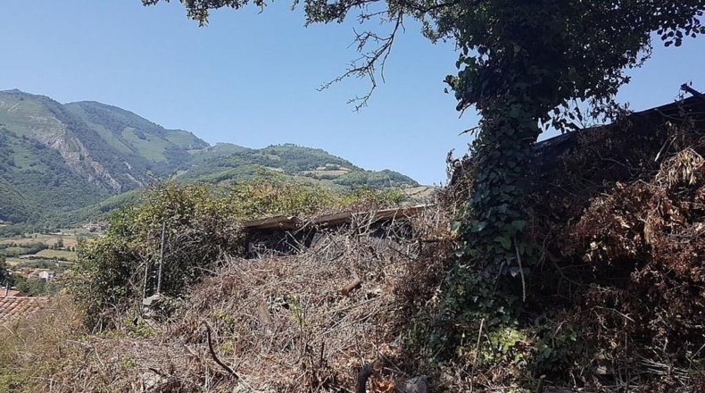 Astúries - Pola de Lena - 18650m2