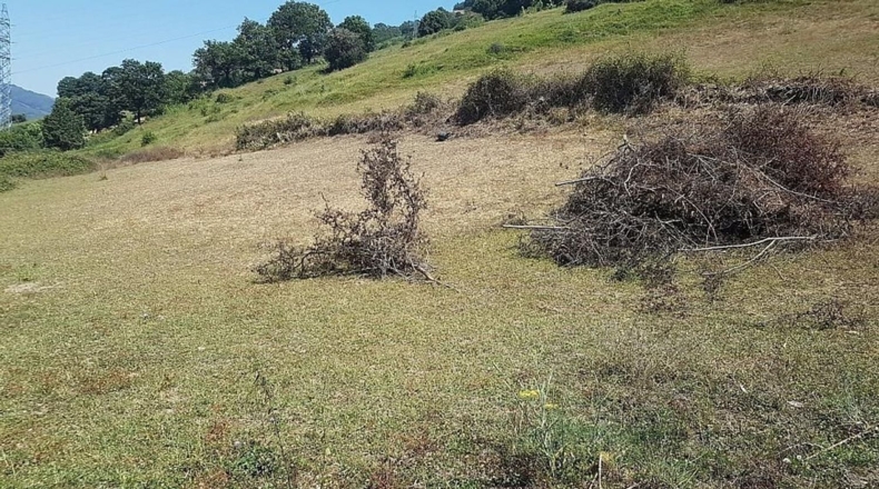 Astúries - Pola de Lena - 18650m2