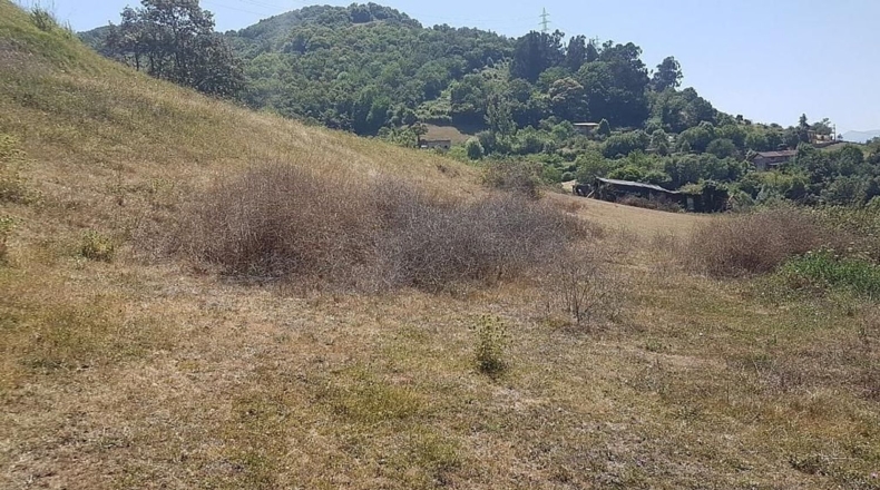 Astúries - Pola de Lena - 18650m2