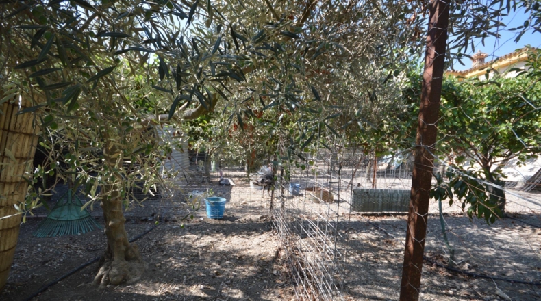 Cádiz - Jerez de la Frontera - 75m2