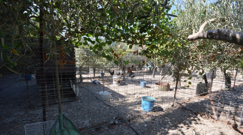 Cádiz - Jerez de la Frontera - 75m2