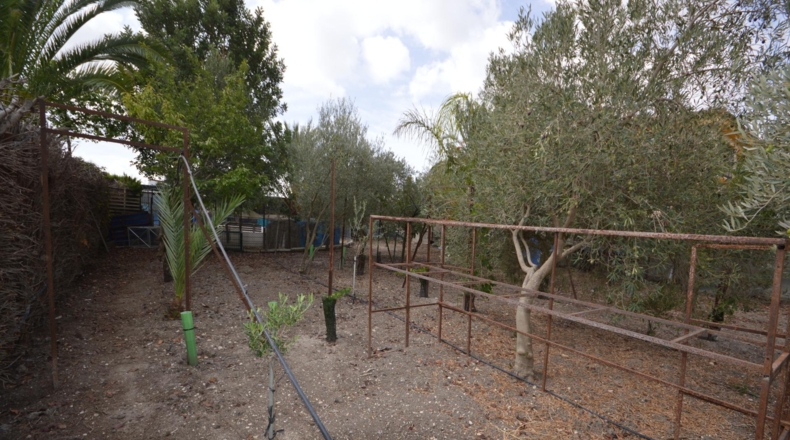 Cádiz - Jerez de la Frontera - 75m2