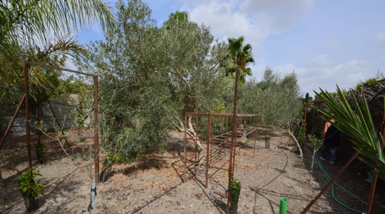 Cádiz - Jerez de la Frontera - 75m2